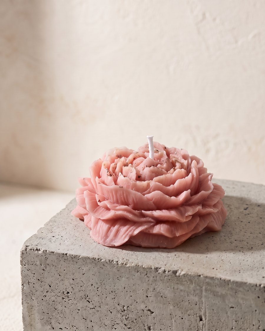 Bloom