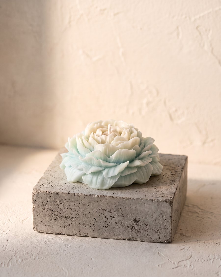 Bloom